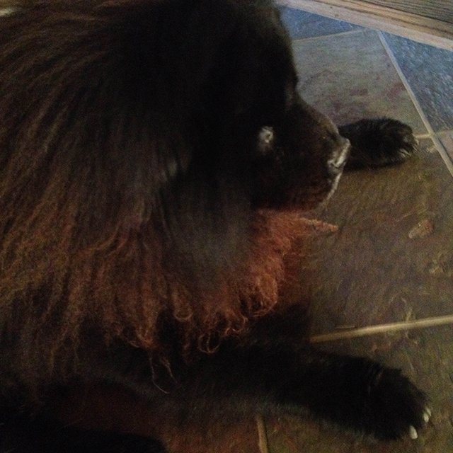 Three Stages of Zeus