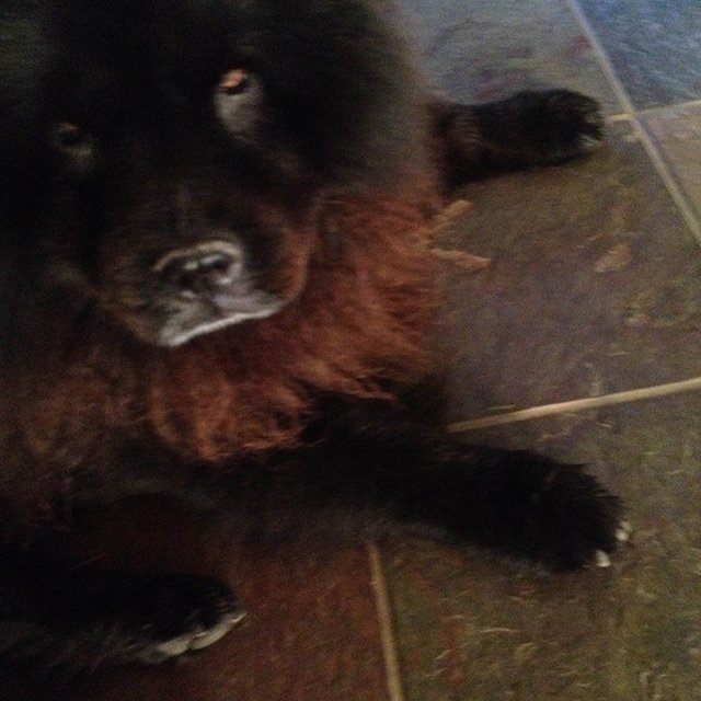 mtr_photo_3stageszeus_03